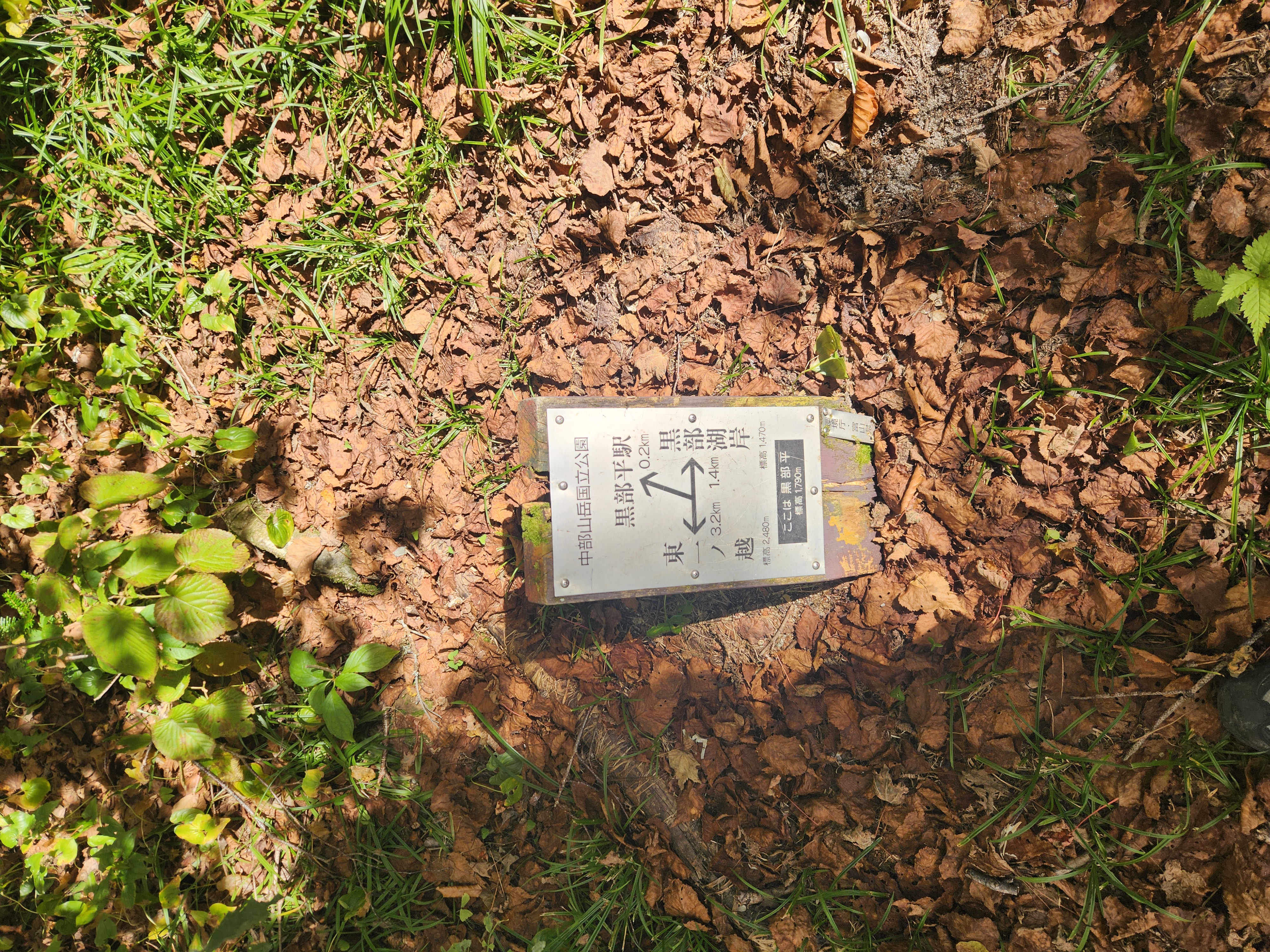 黒部平から黒部湖まで歩いてみる