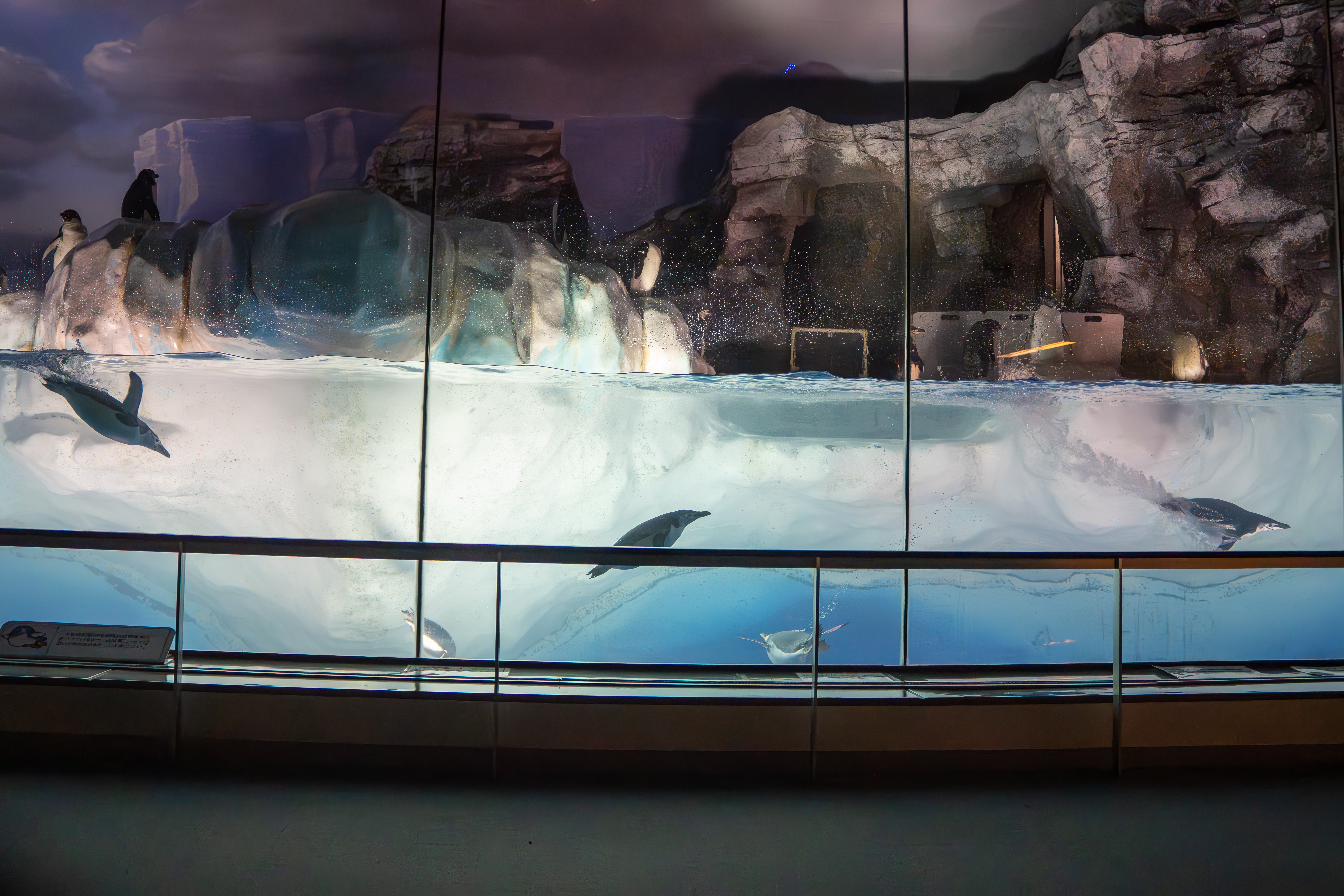 独り言　閉館間際の水族館の至福